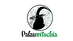 palanca_300x168